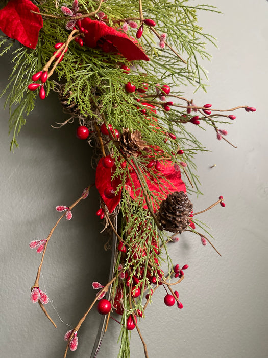 Poinsettia Deconstructed